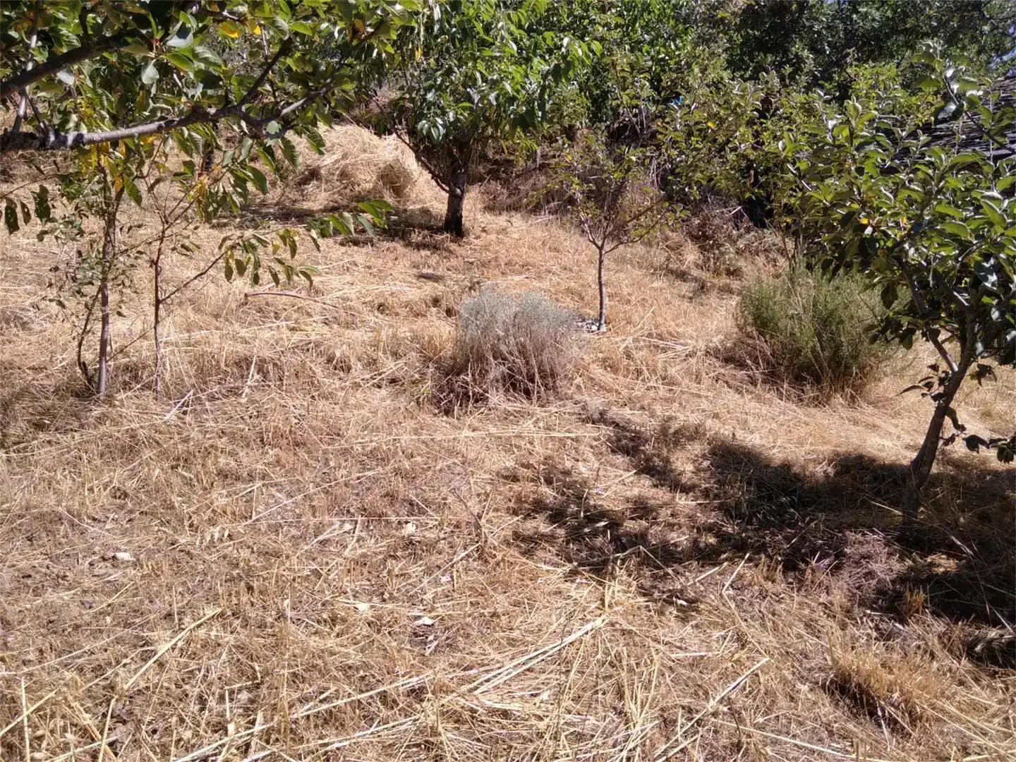 Finca rústica en venda en Prádena de Atienza