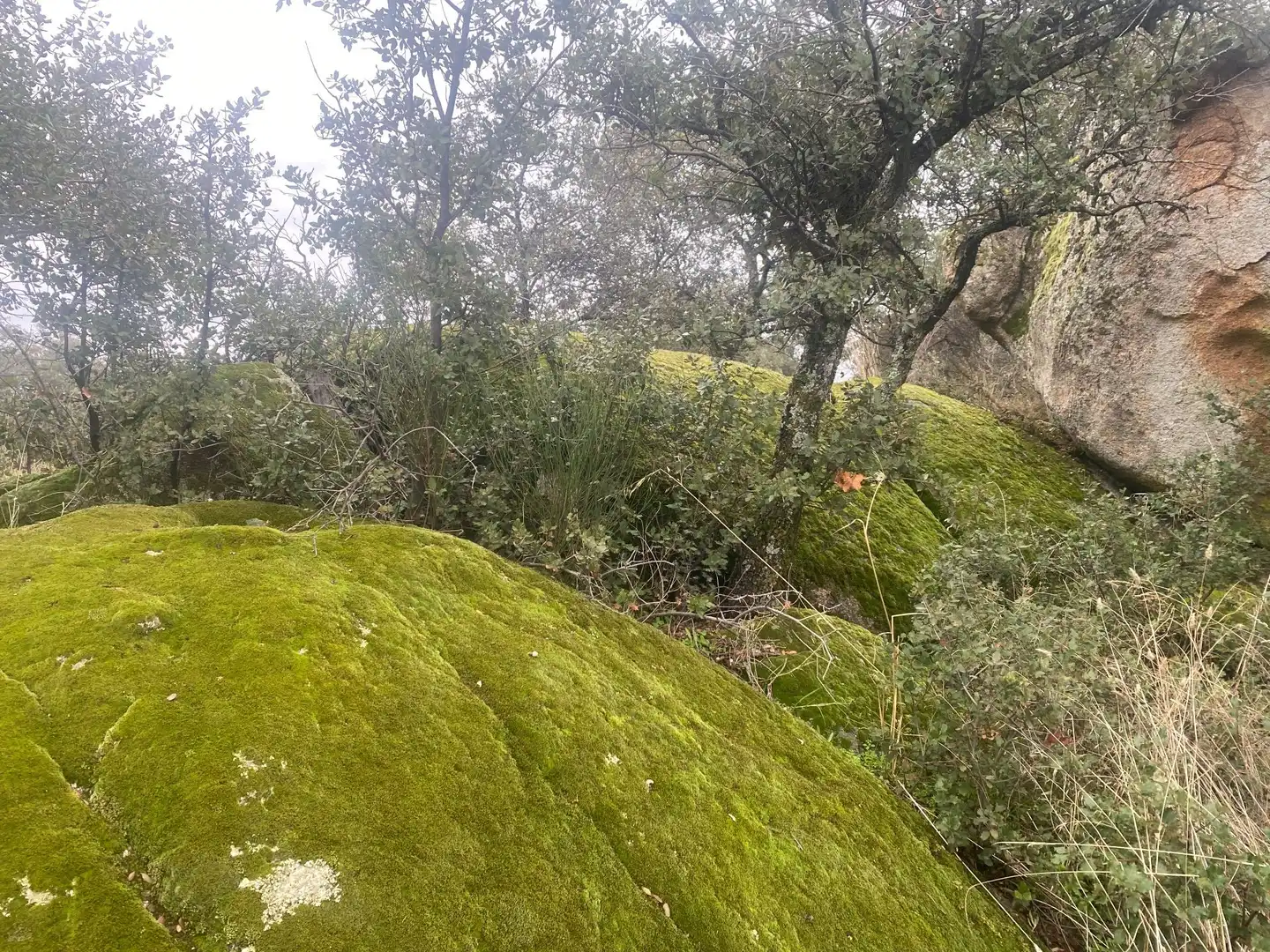Terreni e lotti in vendita a La Estrella, imagen 3