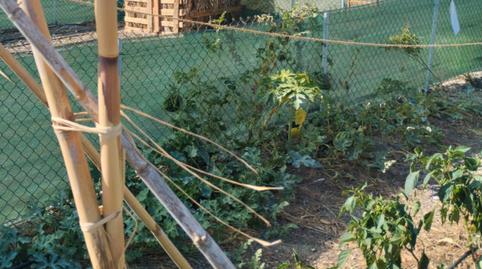 Foto 2 von Grundstücke zur Miete in Tf-247, 12, Cuevecitas - Malpaís, Candelaria