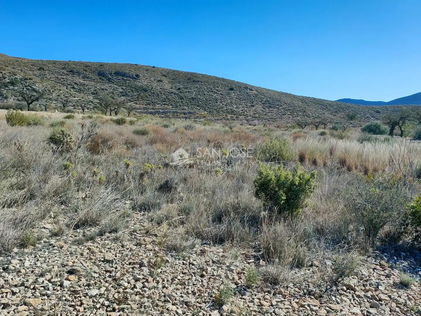 Terreno rustico in vendita a Hondón de los Frailes