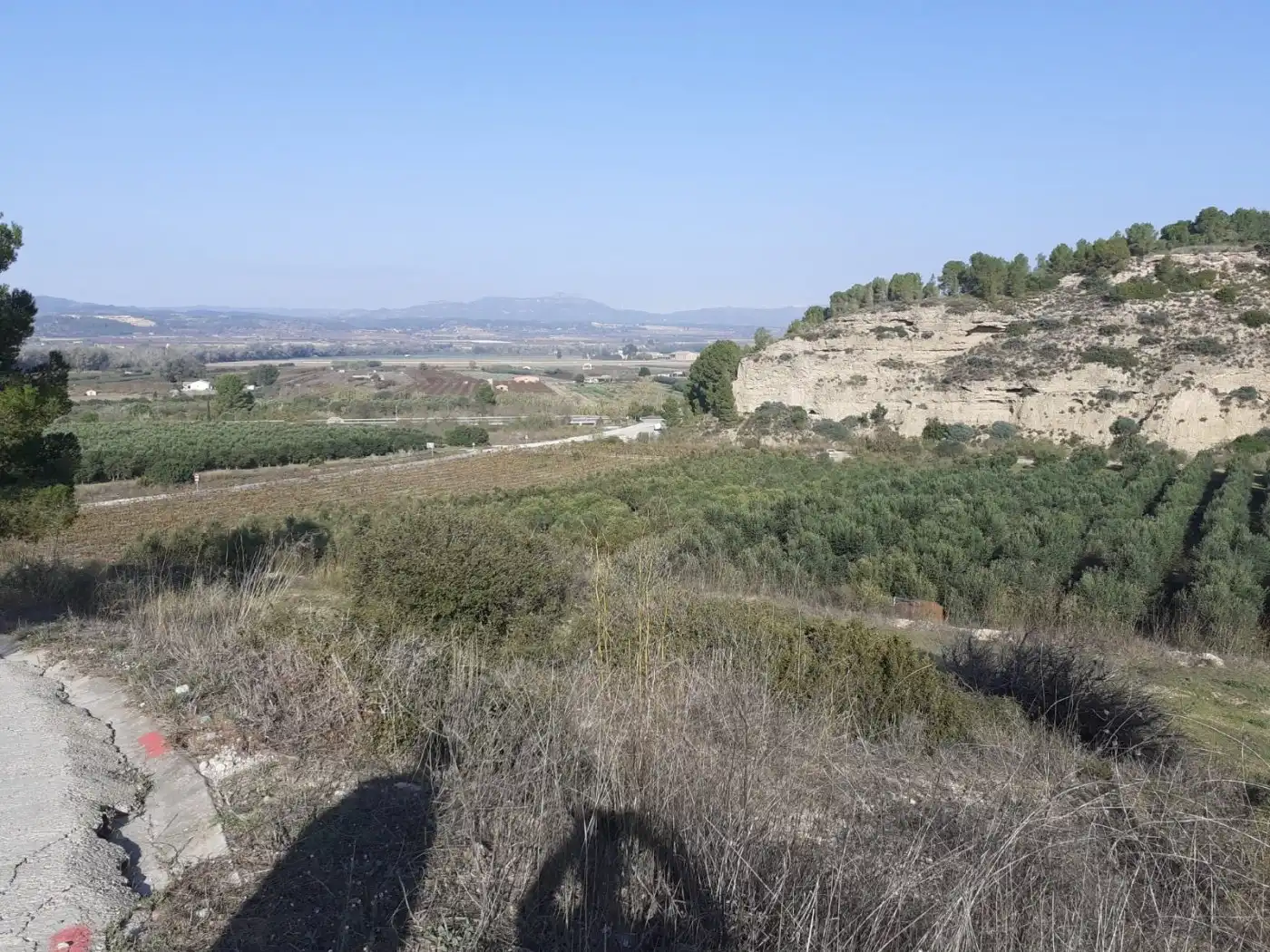 Finca rústica en venda en Ginestar