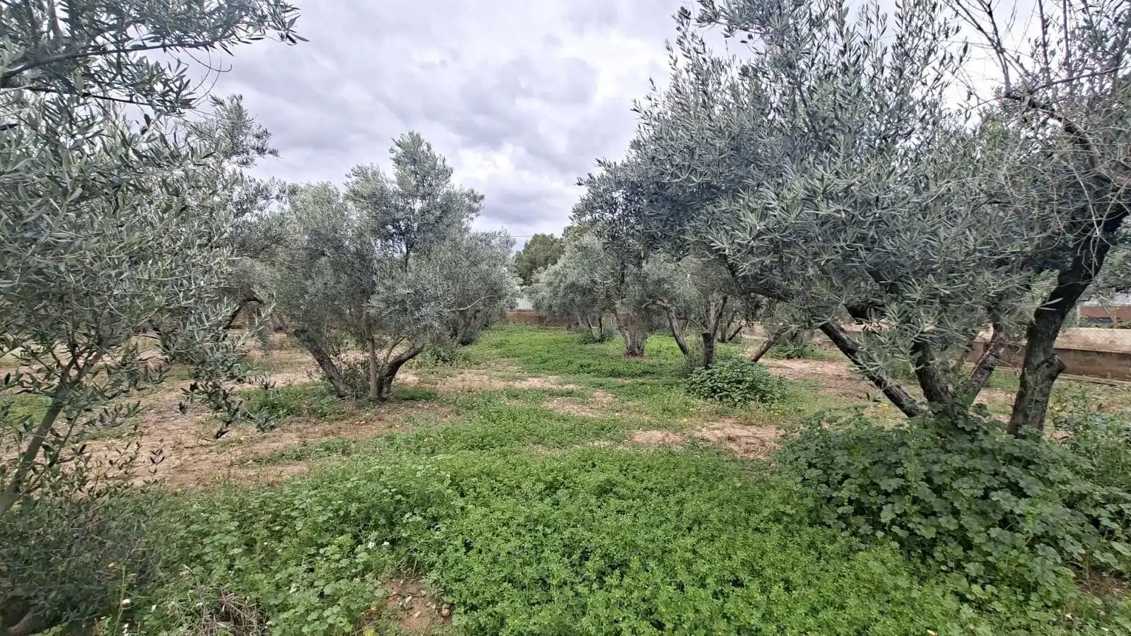 Wohnbaugrundstück zum Verkauf in CABO PALOS-RB ROLLET, imagen 7