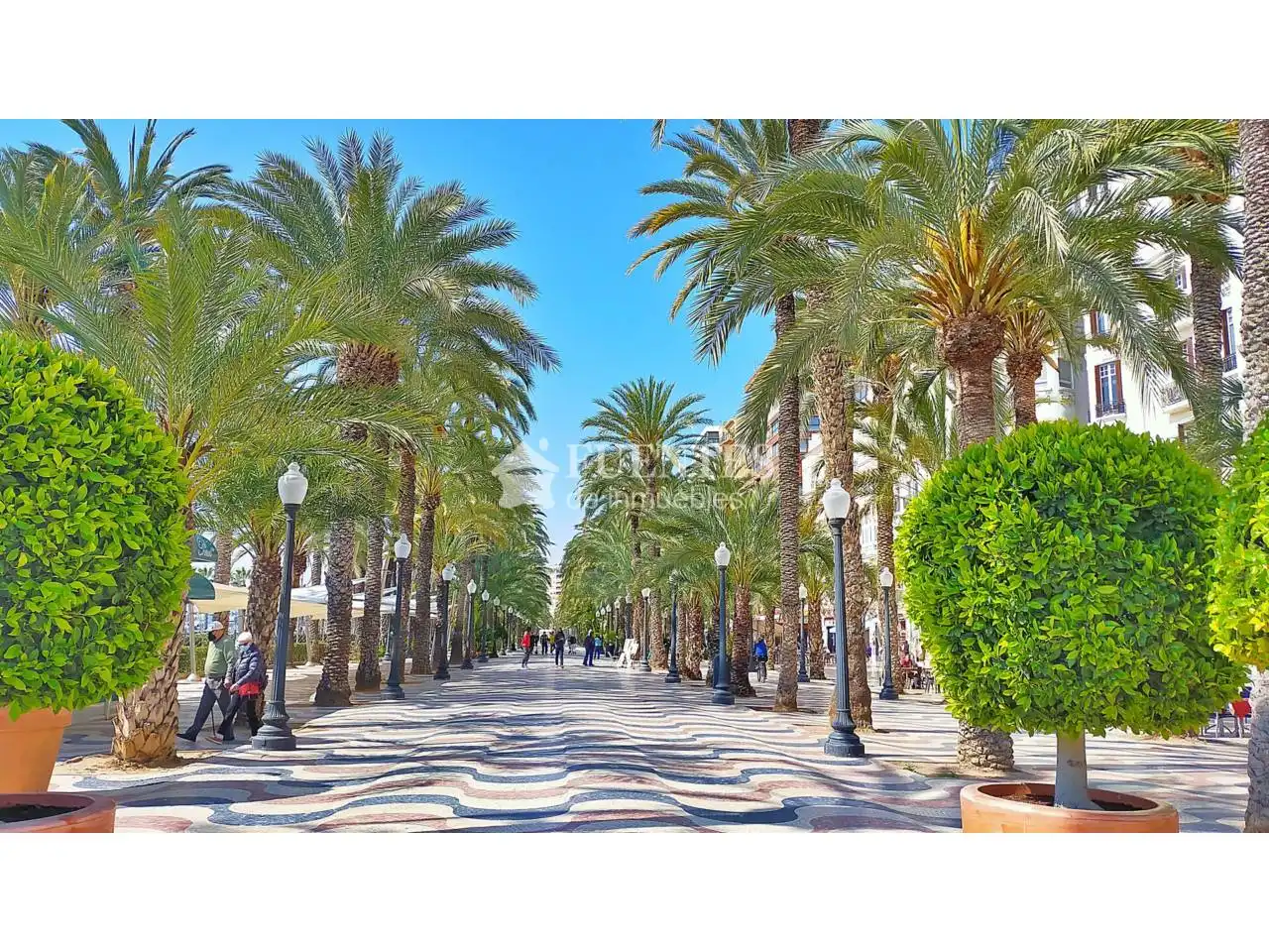 Vista exterior de Local en venta en Alicante / Alacant