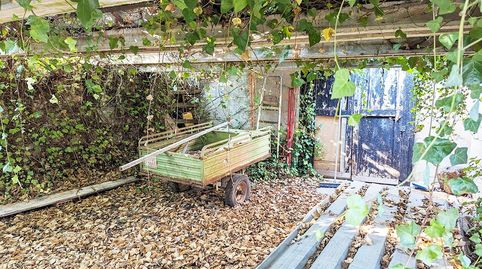 Foto 5 de Finca rústica en venda a Carrer Mas de la Rata, Ulldecona, Tarragona