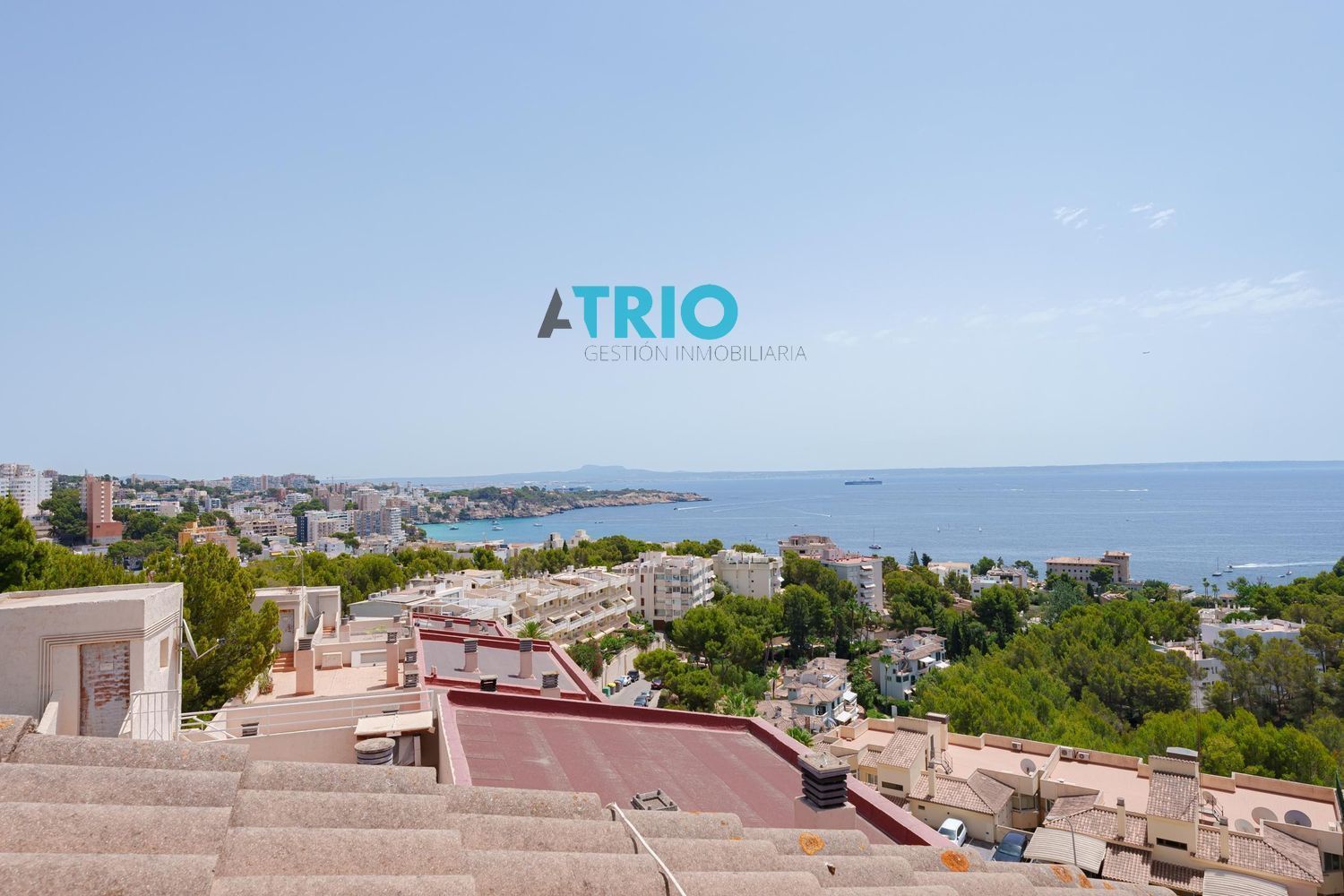 Exterior view of Attic for sale in Calvià  with Air Conditioner, Terrace and Swimming Pool