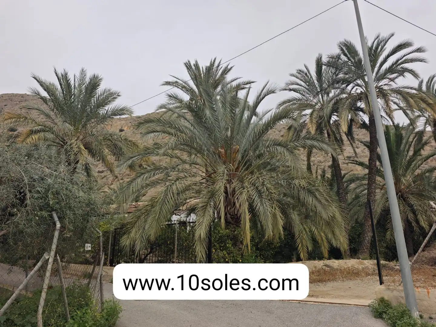 Casa amb piscina en venda a Montepinar - La Aparecida - Raiguero, imagen 9