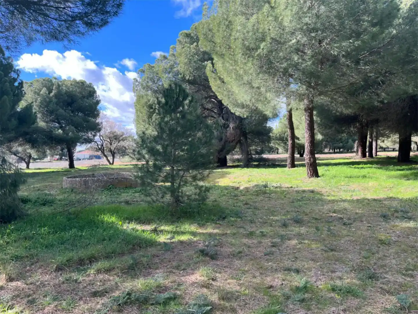 Finca rústica en venta en Alcazarén, Valladolid