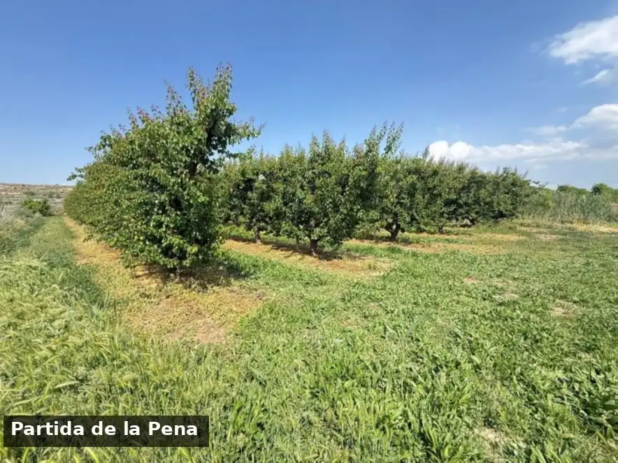 Terreno en venta en Puigverd de Lleida, Lleida