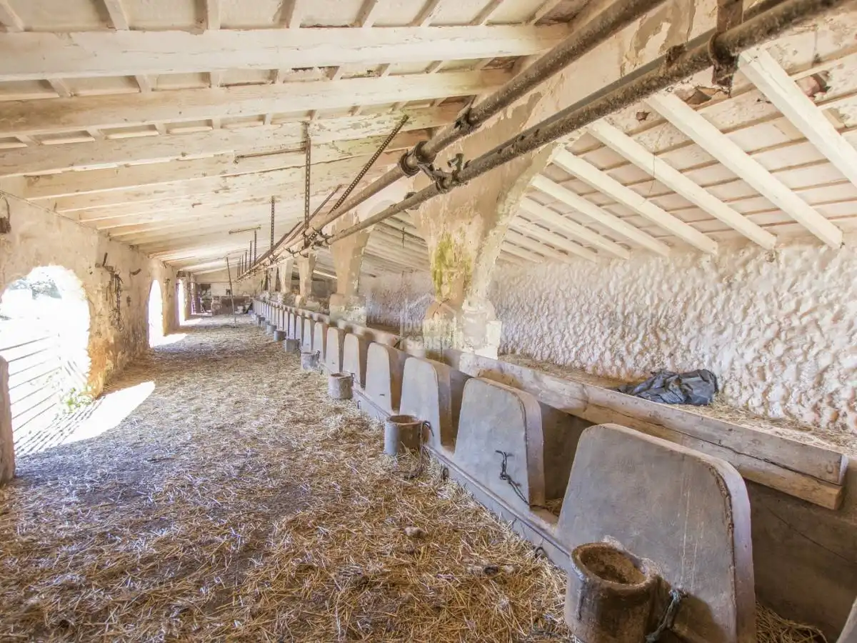 Casa rústica amb jardí en venda a Sant Climent - Es Canutells, imagen 42