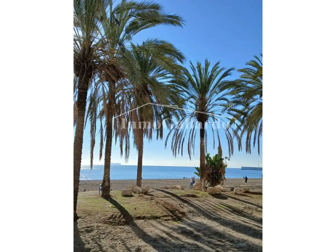 Exterior view of Apartments for rent in Málaga  with Terrace and Furnished
