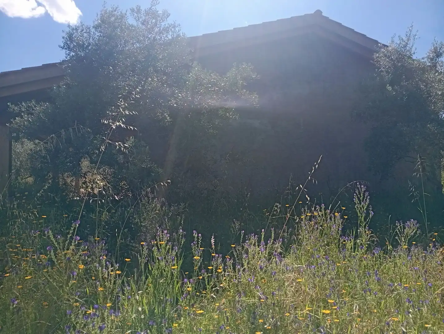 Maison à vendre à Villanueva de la Vera, imagen 33