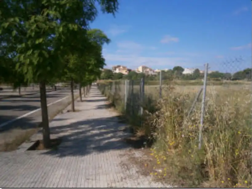 Terreno rustico in vendita a C/ Santiago Rusiñol, imagen 8