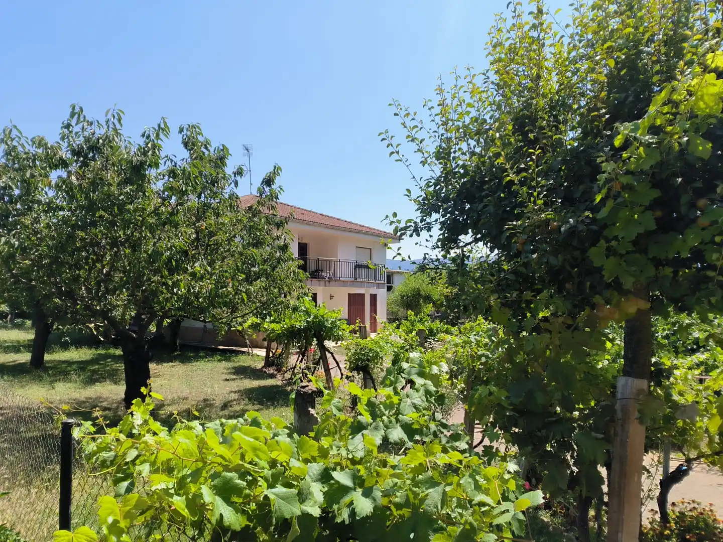 Jardín de Casa o chalet en venta en Medina de Pomar con Calefacción, Jardín privado y Terraza