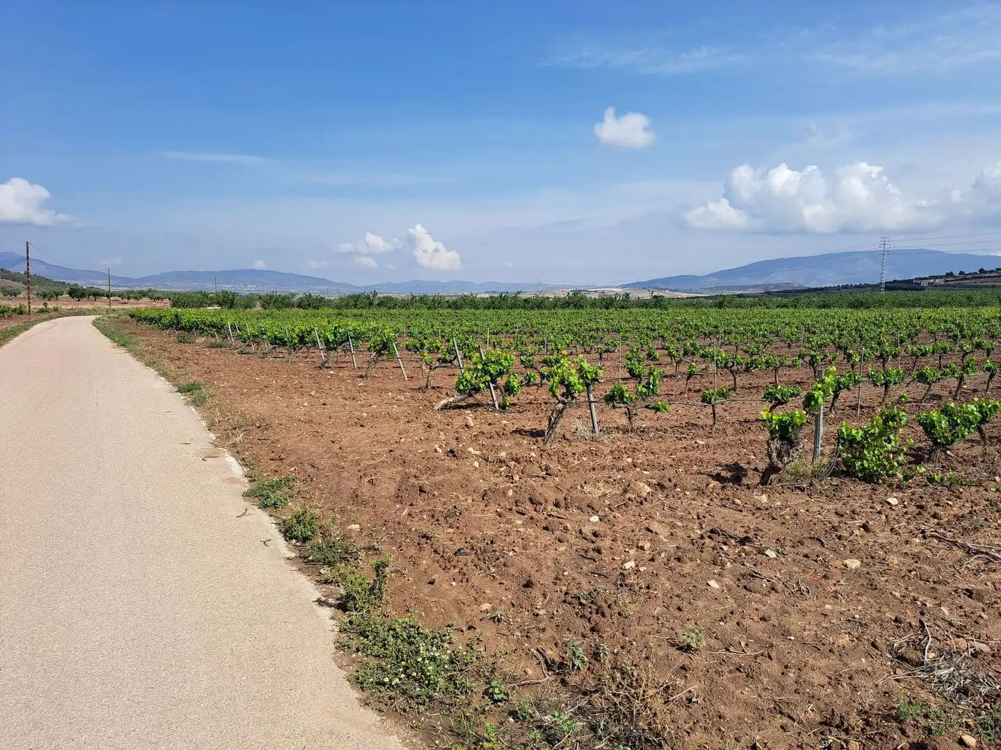 Terreno residencial en venta en El Pinós / Pinoso