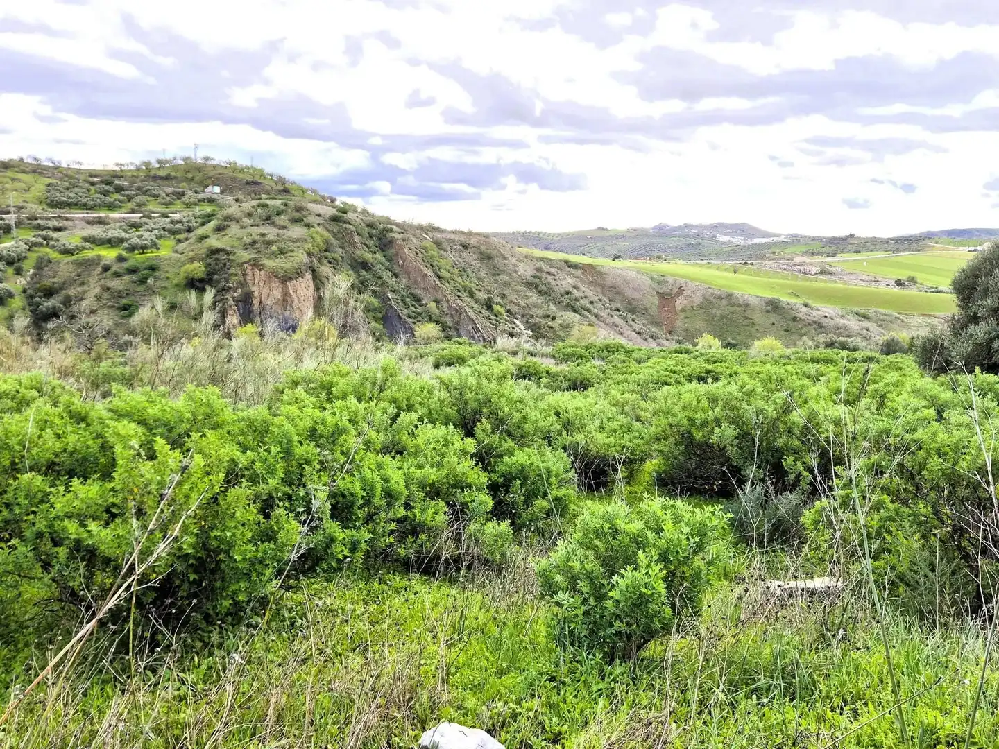 Wohnbaugrundstück zum Verkauf in Zona de la Vega, imagen 7
