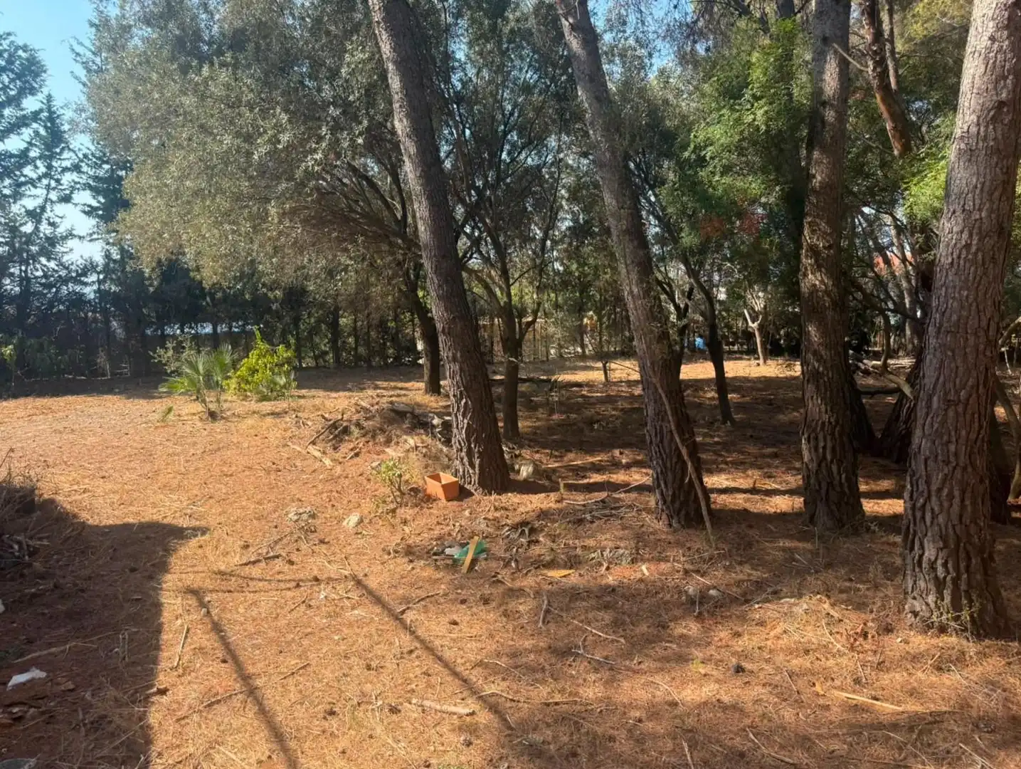 Piso en venta en Cunit
