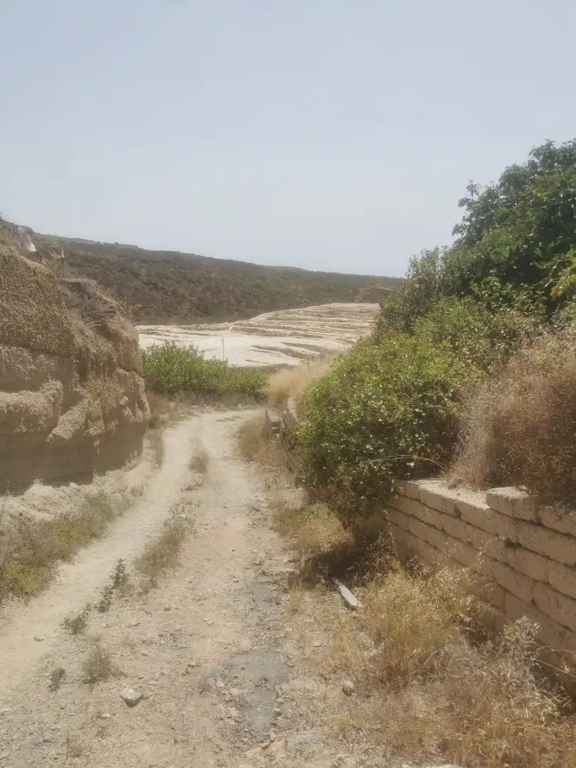 Terreny en venda en Granadilla de Abona