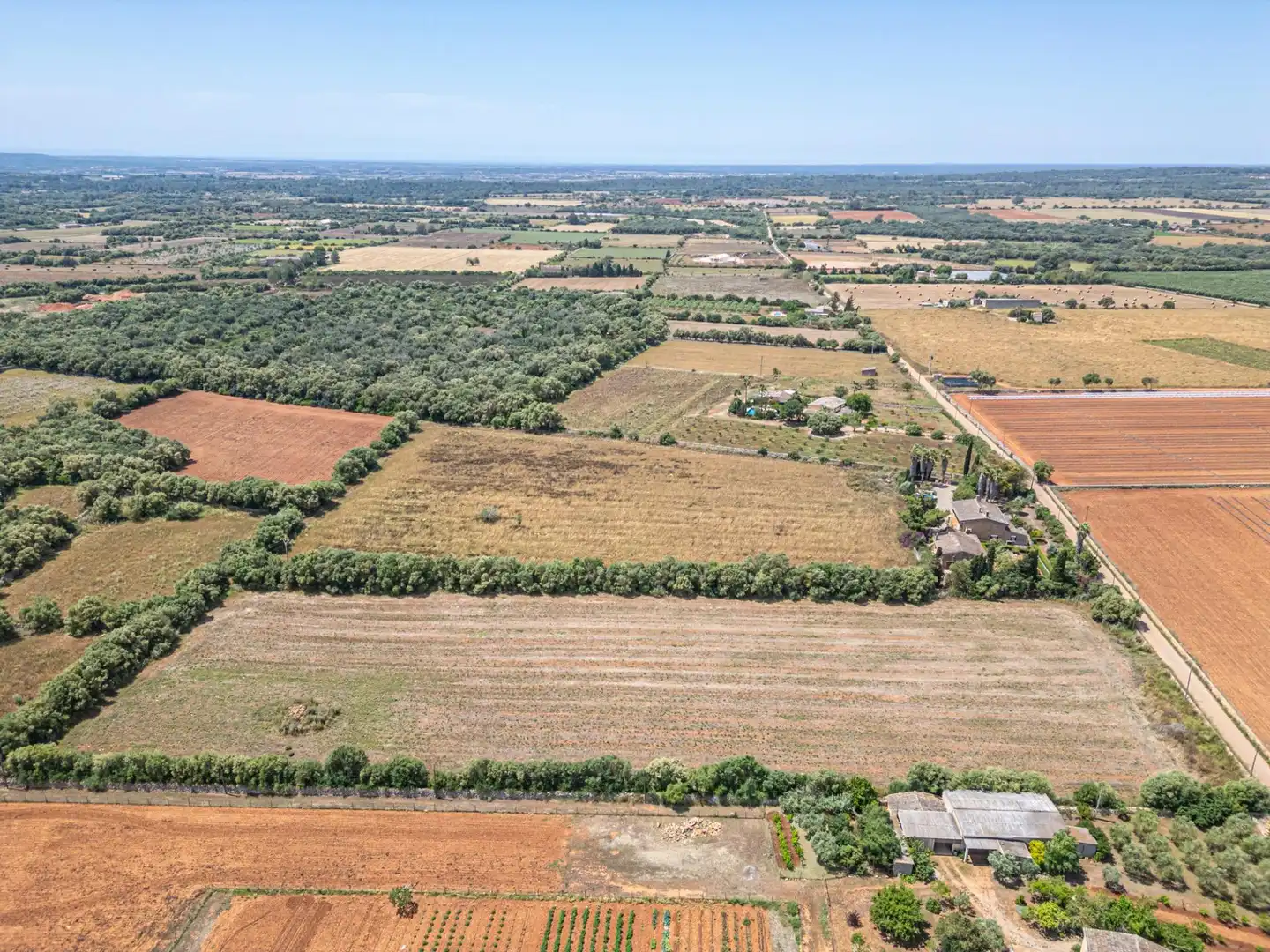 Rural land for sale in Felanitx Poble, imagen 12