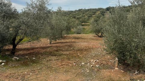 VENTA FINCA URBANIZABLE PULIANAS, imatge 3