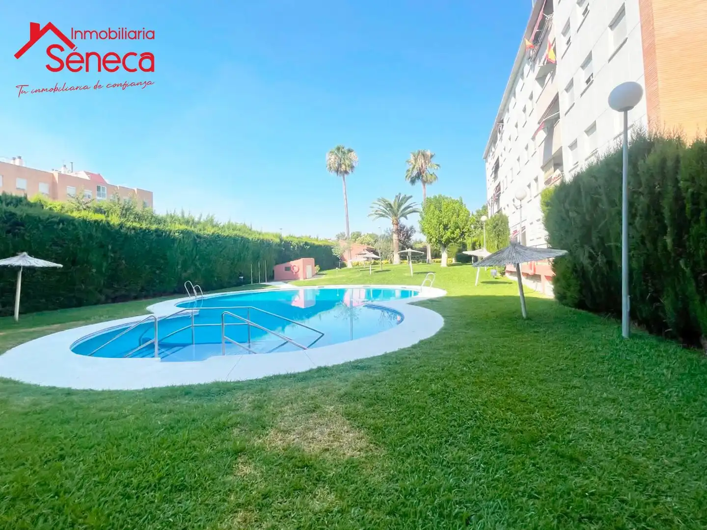 Swimming pool of Flat for sale in Córdoba  with Air Conditioner, Heating and Swimming Pool