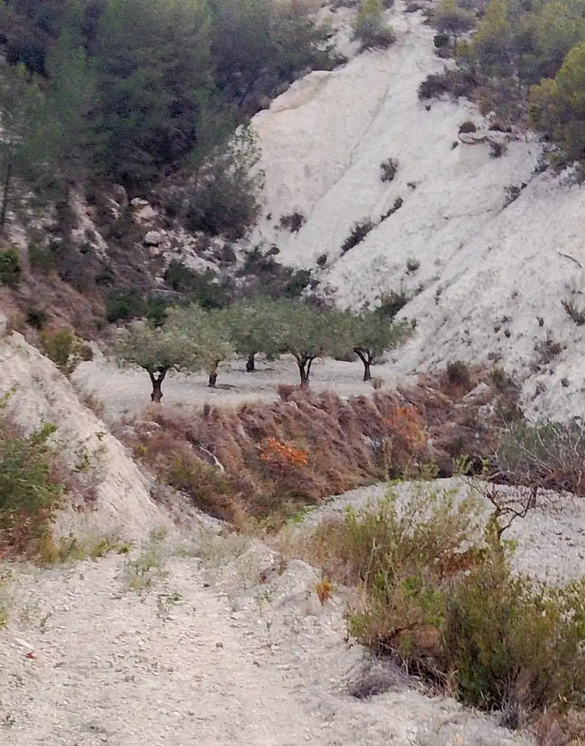 Terreno rustico in vendita a N/A, imagen 21