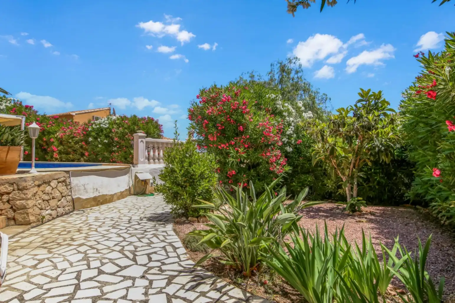 Villa con terrazza in vendita a Cometa, imagen 21