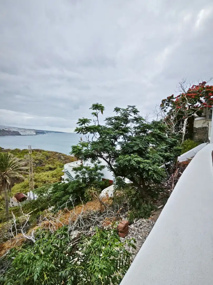 Wohnungen zur Miete in General Punta del Hidalgo, Punta del Hidalgo