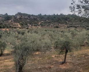 Land for sale in L'Albagés