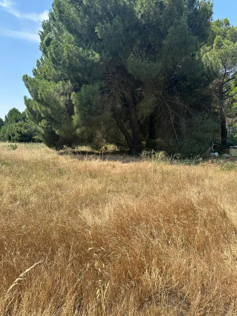 Finca rústica en venda en Traspinedo amb Jardí privat i Piscina