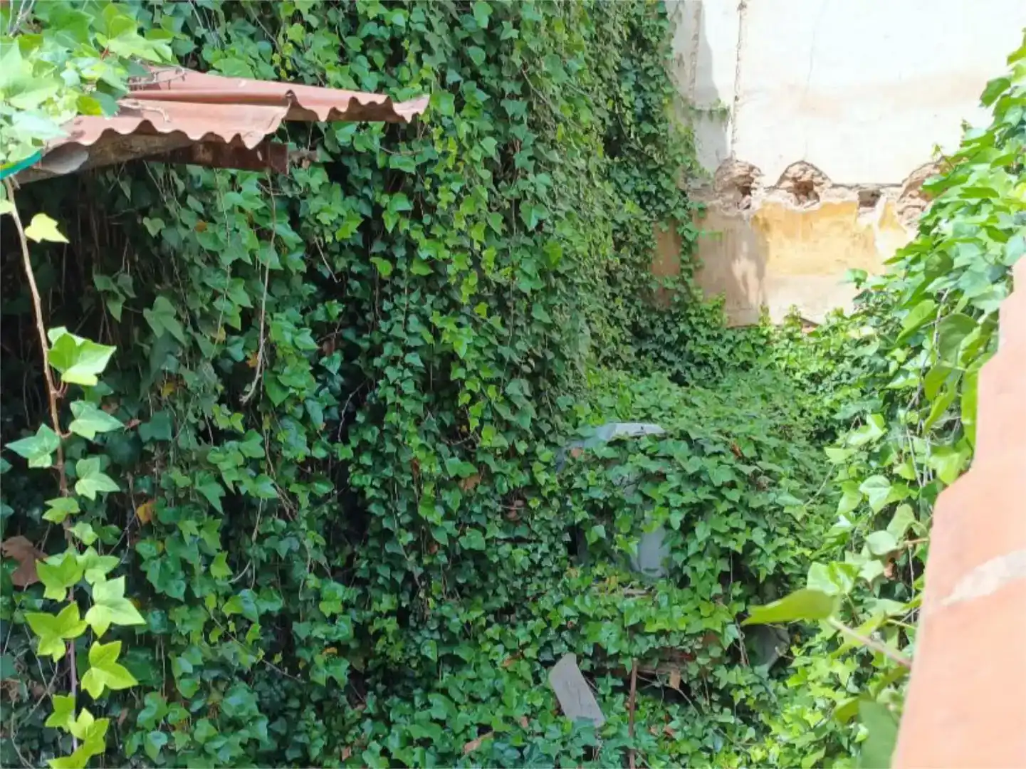 Jardí de Residencial en venda en Benifaió