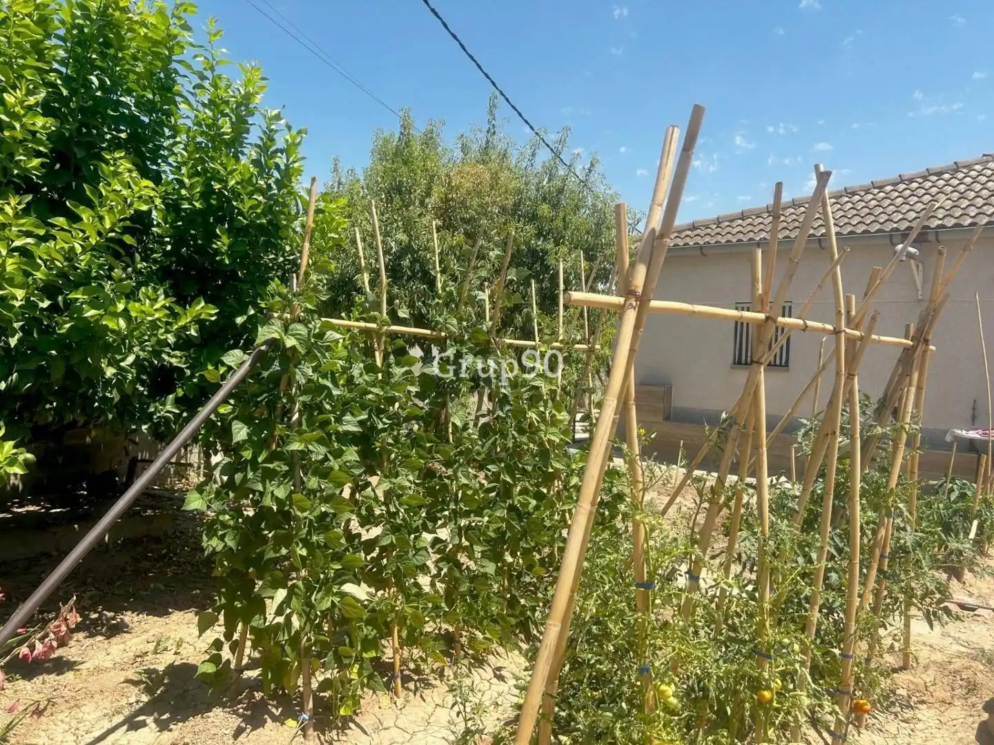 Casa o xalet en venda en Alcoletge amb Calefacció, Jardí privat i Traster