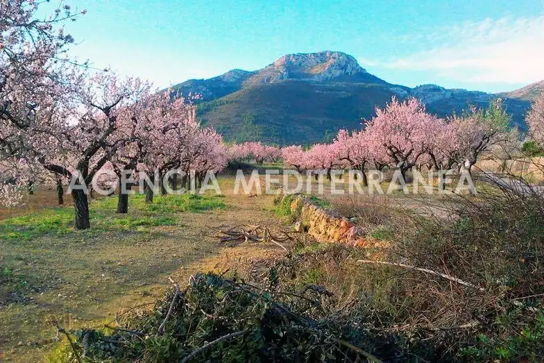 Xalet amb piscina en venda a Alcalalí, imagen 20