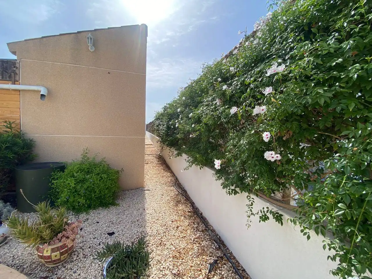 Villa con piscina in vendita a Catral, imagen 11