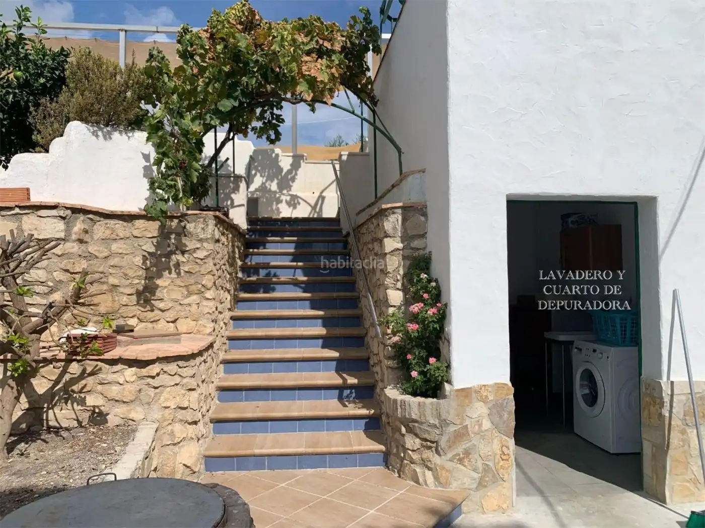 House with garden for sale in Diseminado Diseminados 286, imagen 19