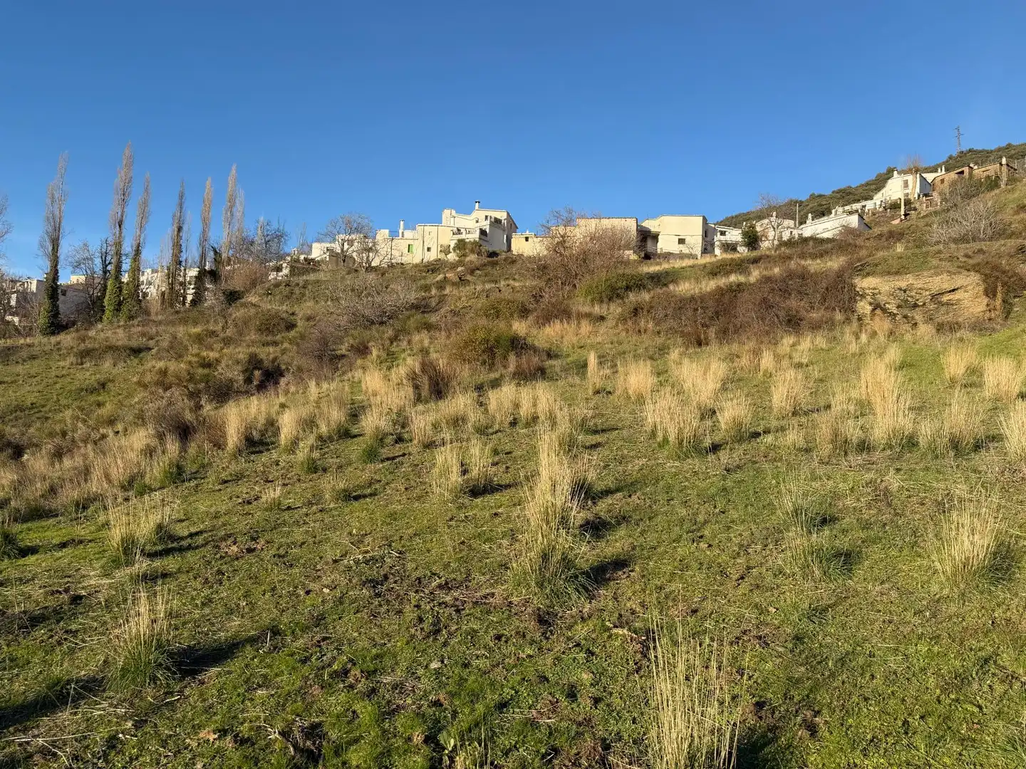 Rural land for sale in Bubión, imagen 5