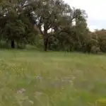 Rural land for sale in Topas, imagen 30