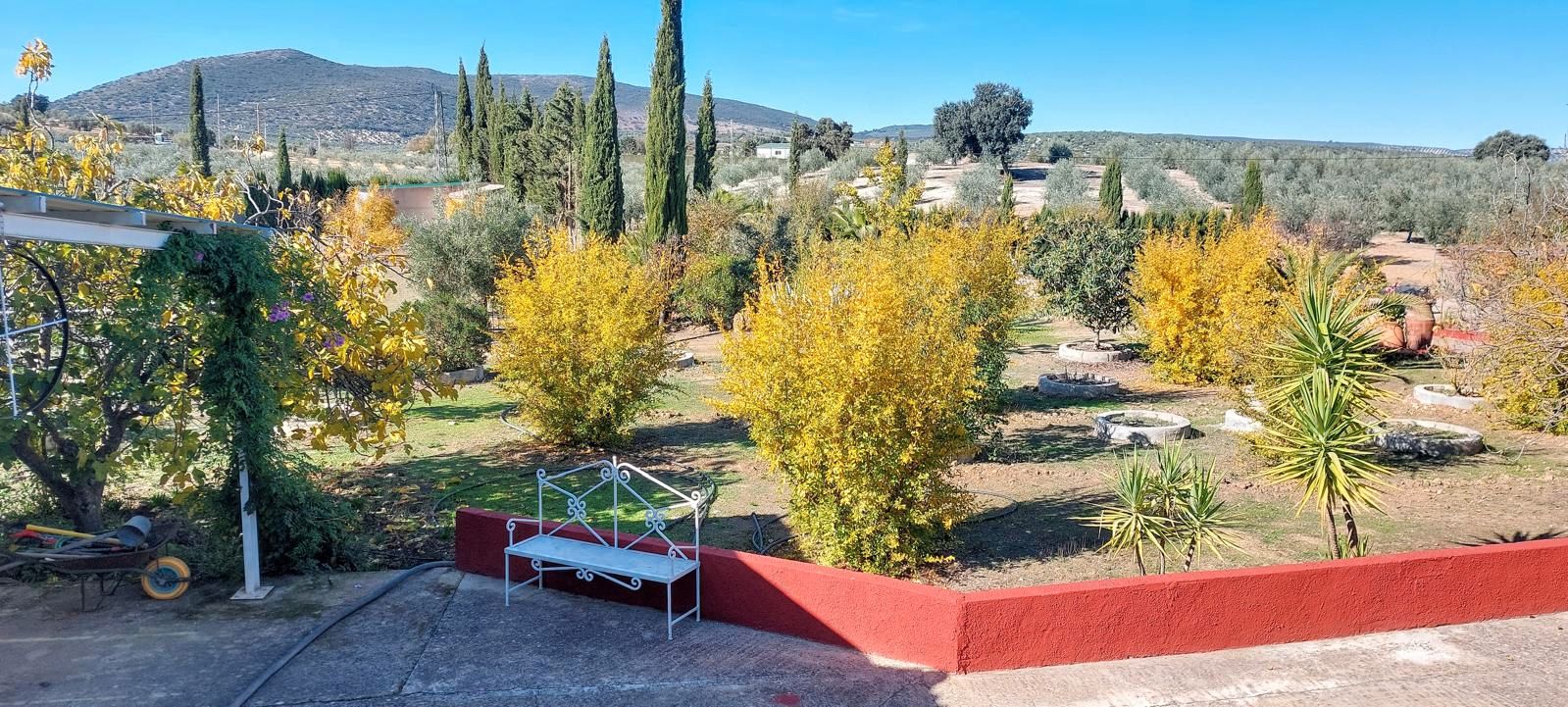 Garden of Country house for sale in Villanueva de Tapia