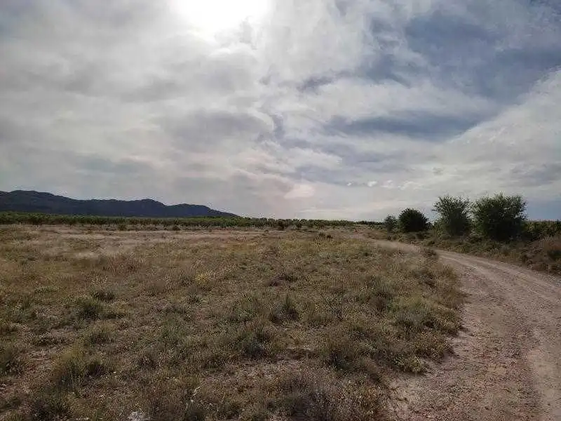Terreny rústic en venda a Caravaca de la Cruz