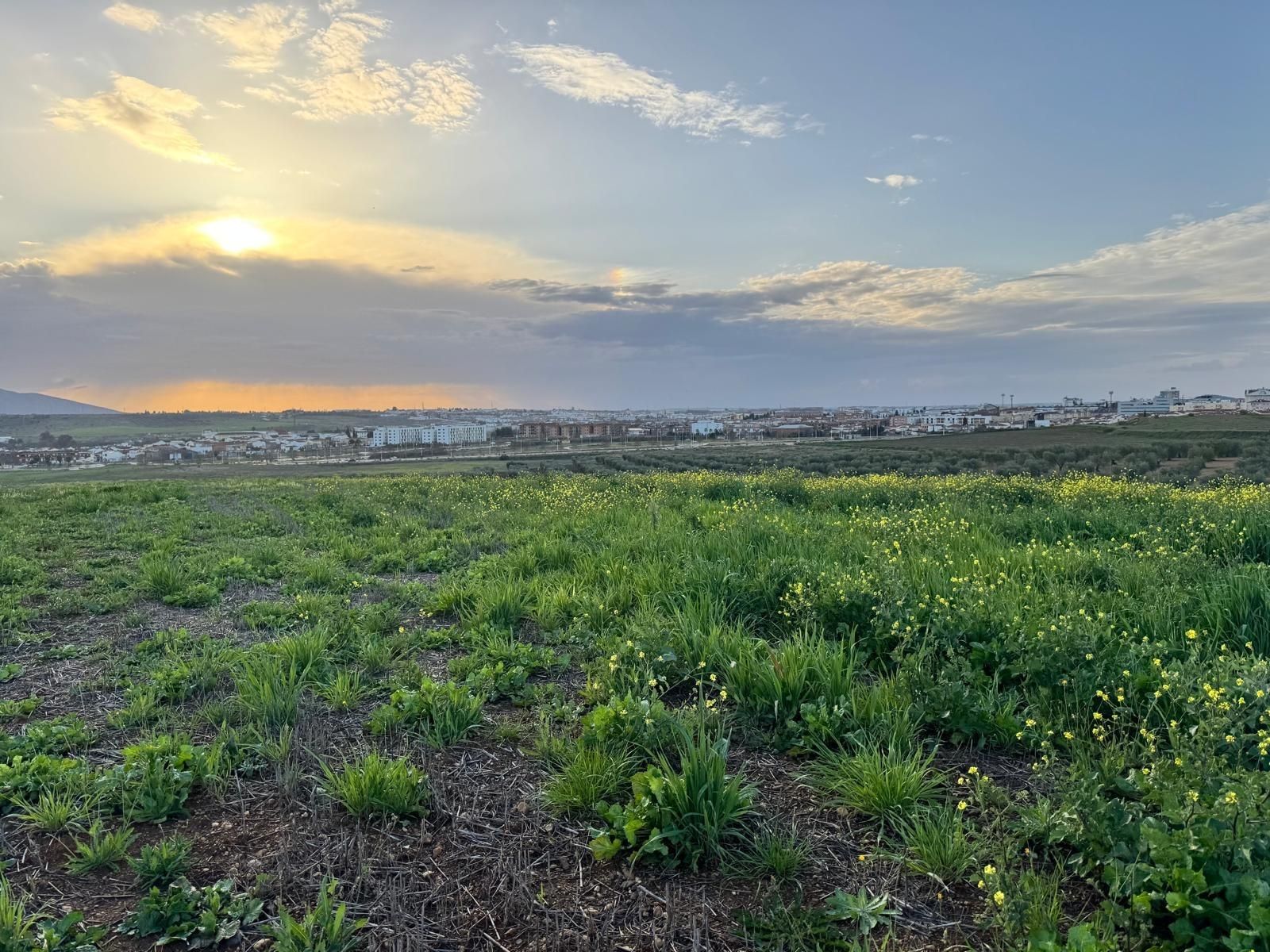 Terreno en venta en Mérida