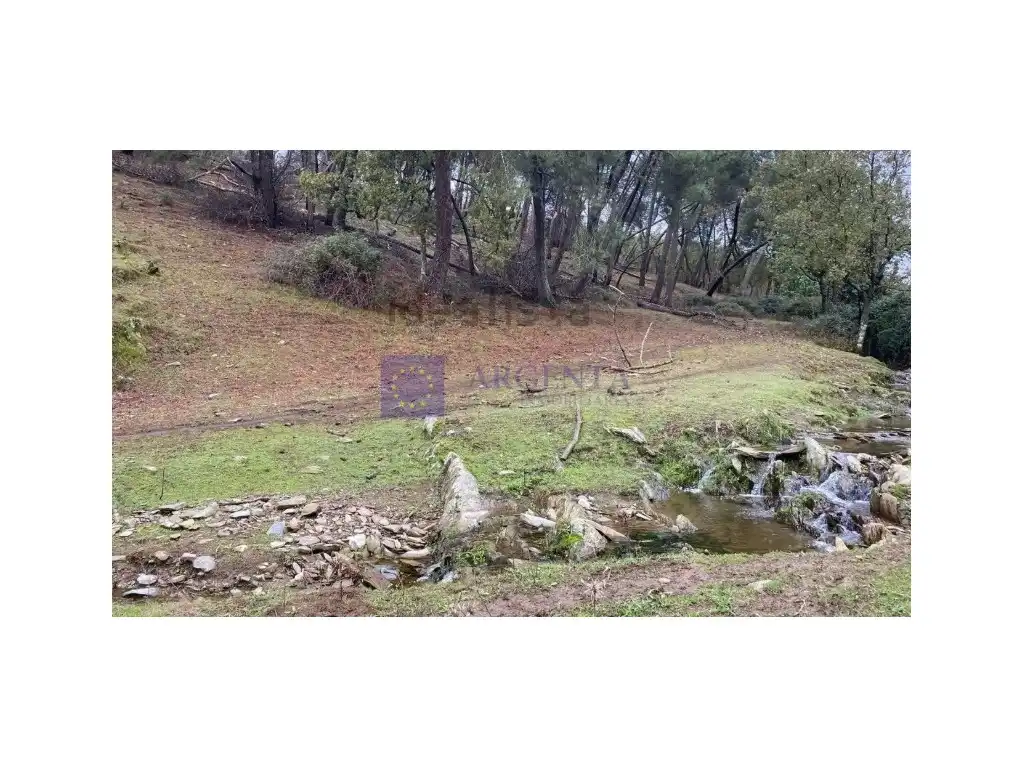 House for sale in Diseminados Carrascal, imagen 12