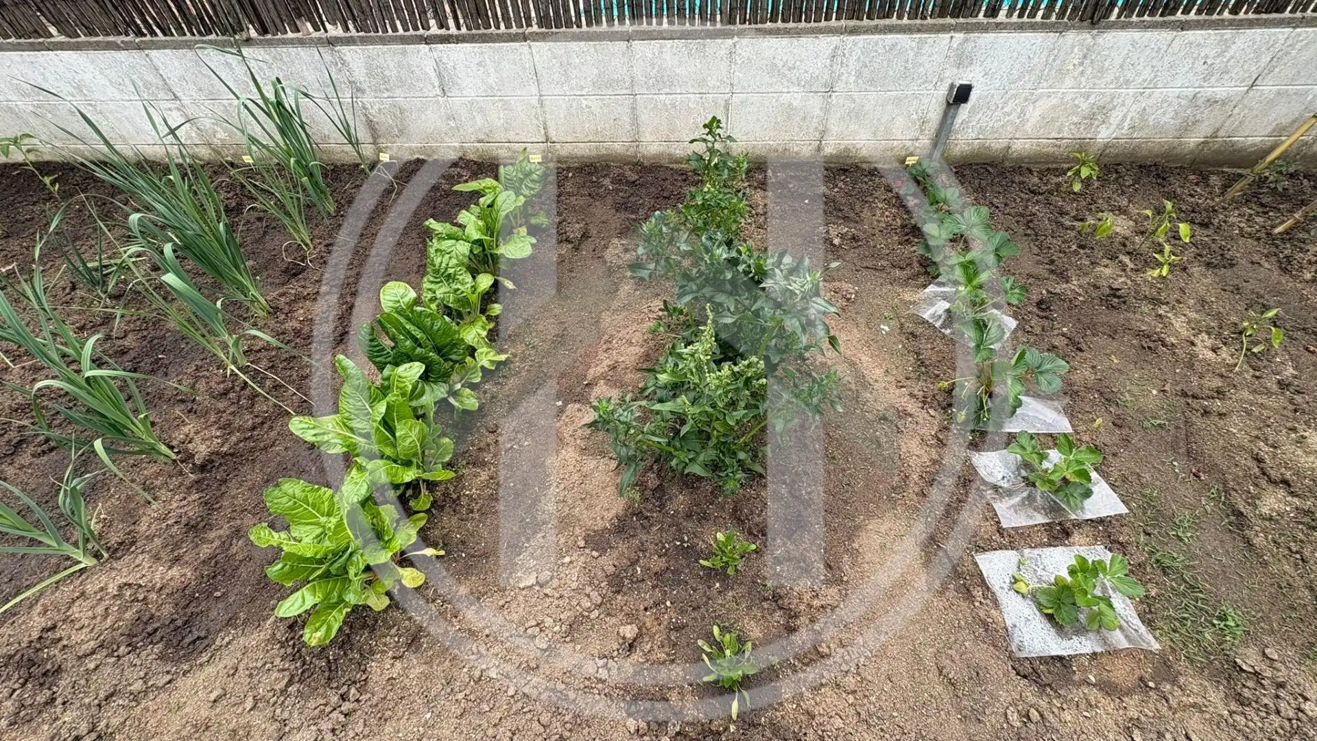Garten von Haus oder Chalet zum Verkauf in Cardedeu mit Heizung, Privatgarten und Terrasse
