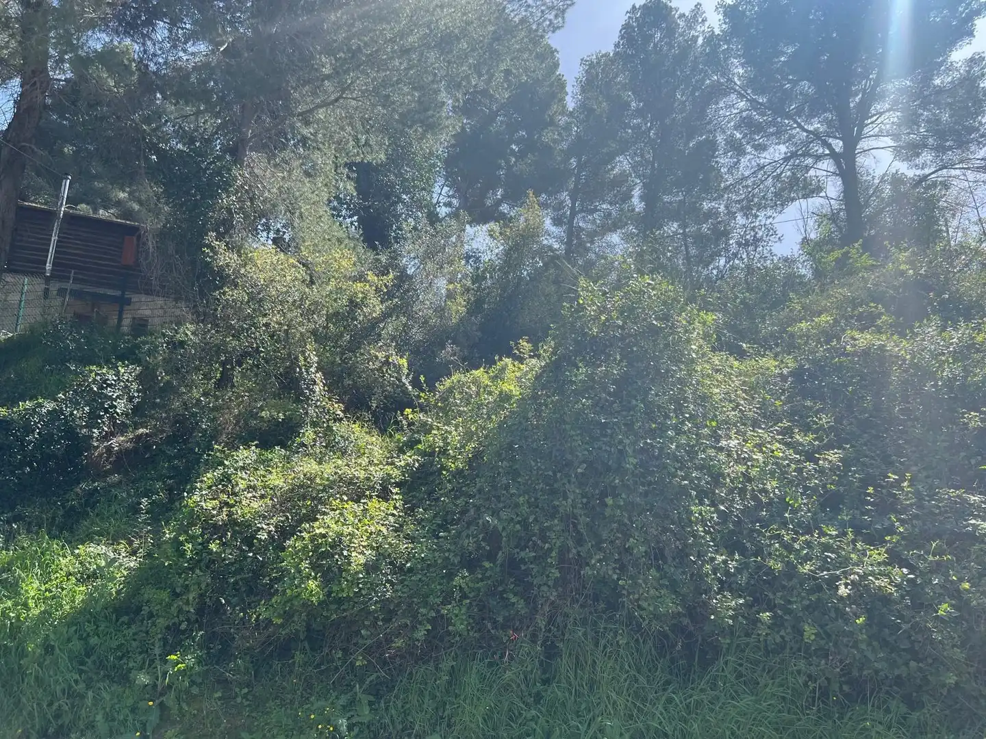 Residential land for sale in Calle BONAVISTA (C CLARAMUNT)