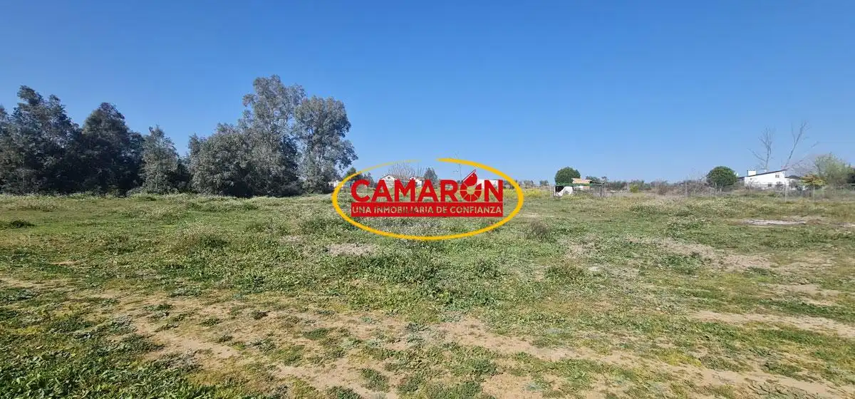 Terreni e lotti in vendita a Polígono 10 Parcela 320 PUÑANILLA, imagen 2
