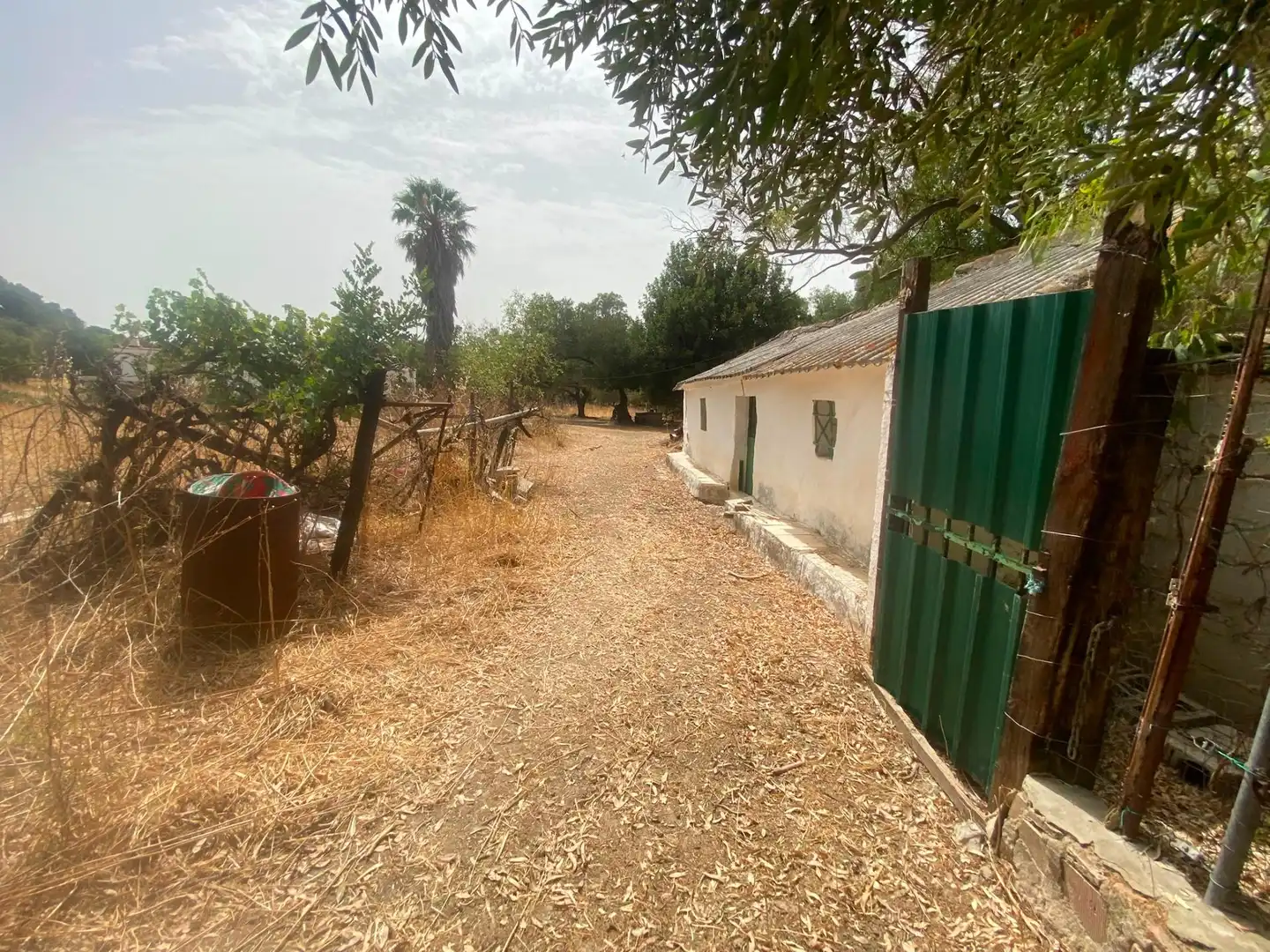 Terreni e lotti in vendita a Alcalá de los Gazules, imagen 52
