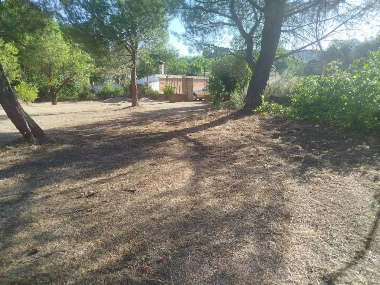 Lands and plots for sale in Calle Ctra Ruidera La Ossa AB-612, imagen 5