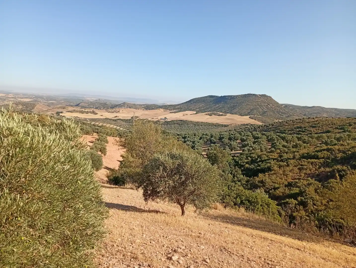 Grundstücke zum Verkauf in Valle de Abdalajís