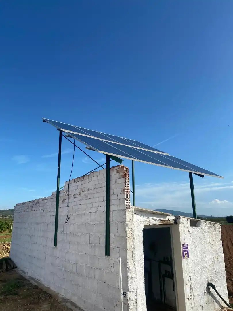 Rural land for sale in Torreblanca, imagen 3