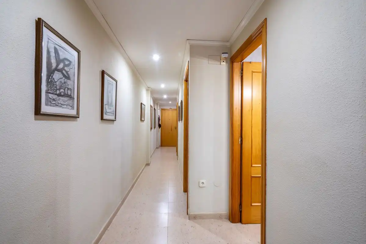 Piso con ascensor en venta en Avenida Miguel Hernández, imagen 13