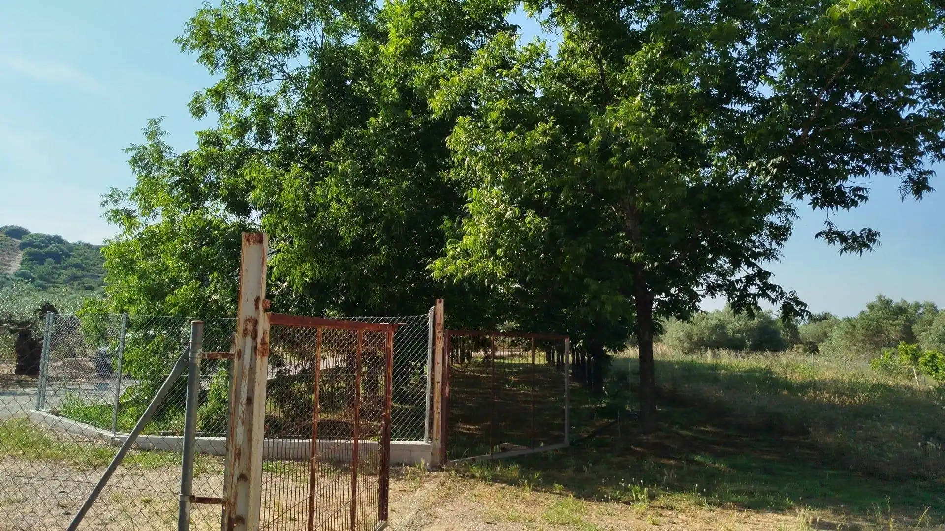 Terreno rústico en venta en Casc Antic, imagen 18