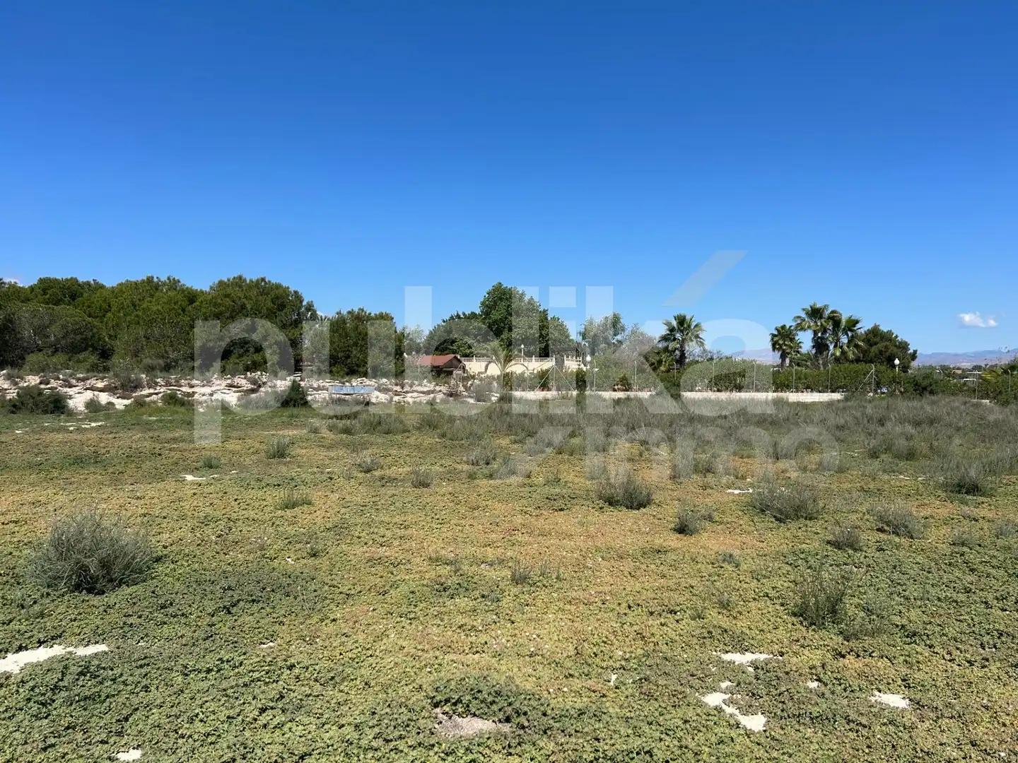 Finca rústica en venda en Elche / Elx amb Jardí privat